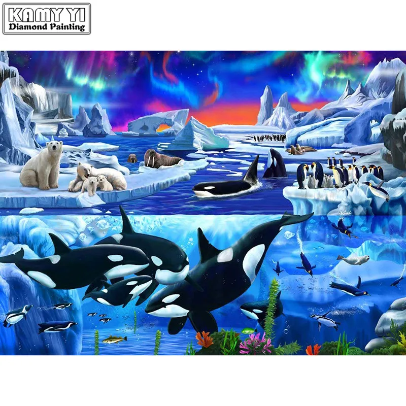 71xgvrRlr1L._SL1000_