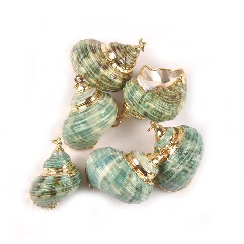 

20-30mm 5pcs Natural Gold Plated Nautical Green Spiral Shell For DIY Jewelry Handmade Charms Pendant Seashell Home Decor TR0300