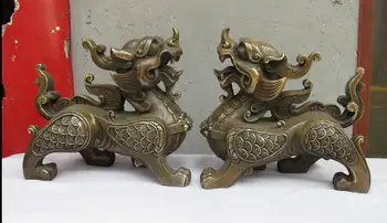 

China Feng shui statue Bronze Evil Guardian Door Fu Foo Dog Lion Chi-lin Pair