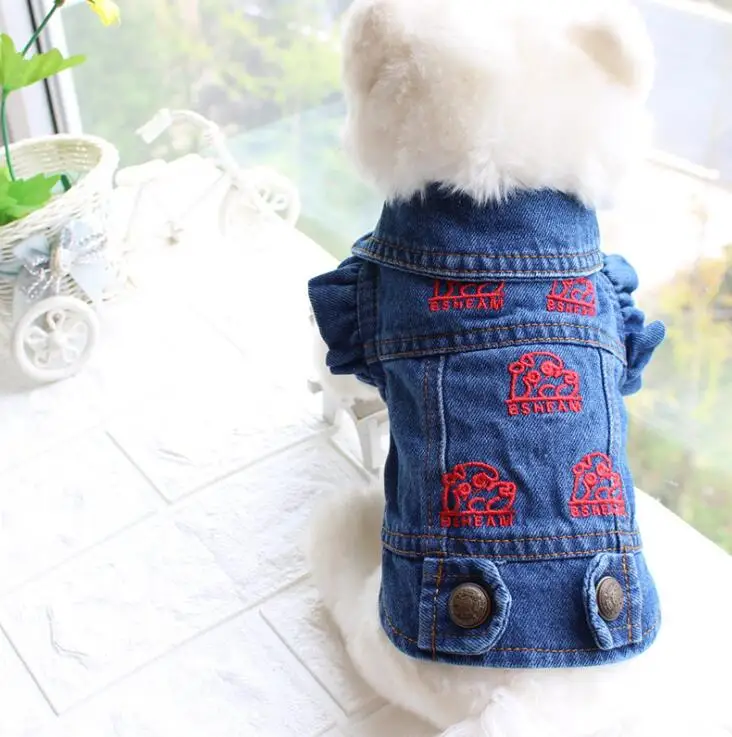 QQ20190311171530