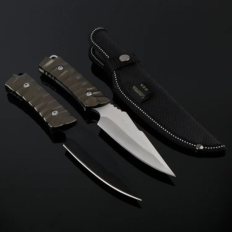 3860190894_1773764478