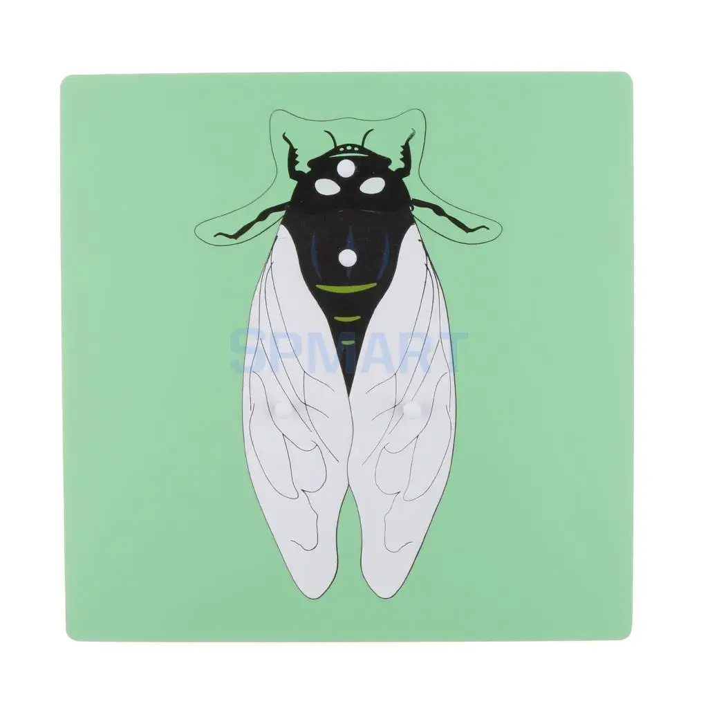 Montessori Wooden Animals Insect Cicada Puzzle Panel Jigsaw