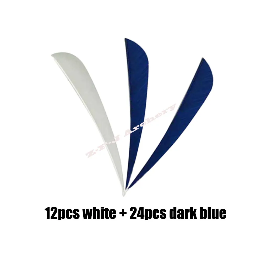 white-dark blue