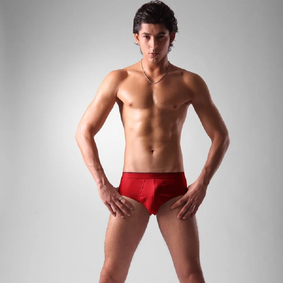 

High Quality Cotton Briefs Mens Comfortable Underpants Man Underwear Size M L XL XXL Free shipping 4pcs/lot
