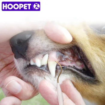 

HOOPET Pet Dog Double - headed Tooth Scraper Dog Cleans the Teeth and Stains the Toothed Cleaning Tool