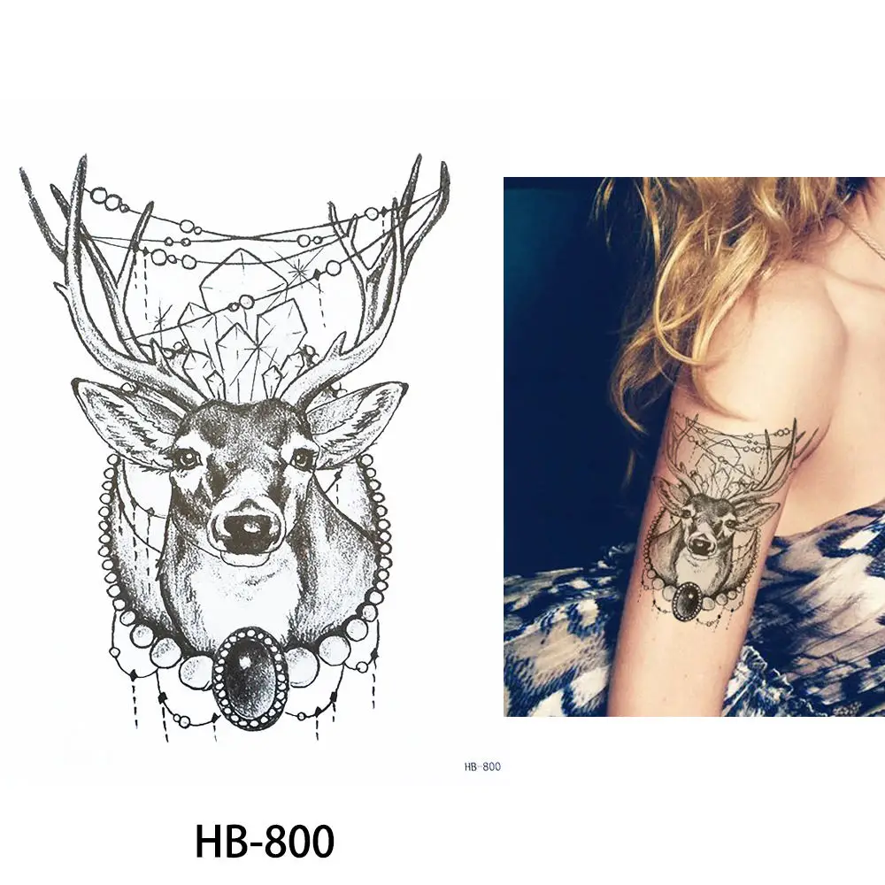 HB-800