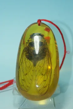 

China Old Amber Unique Cicada Amber Pendants classic art collection and home decorations
