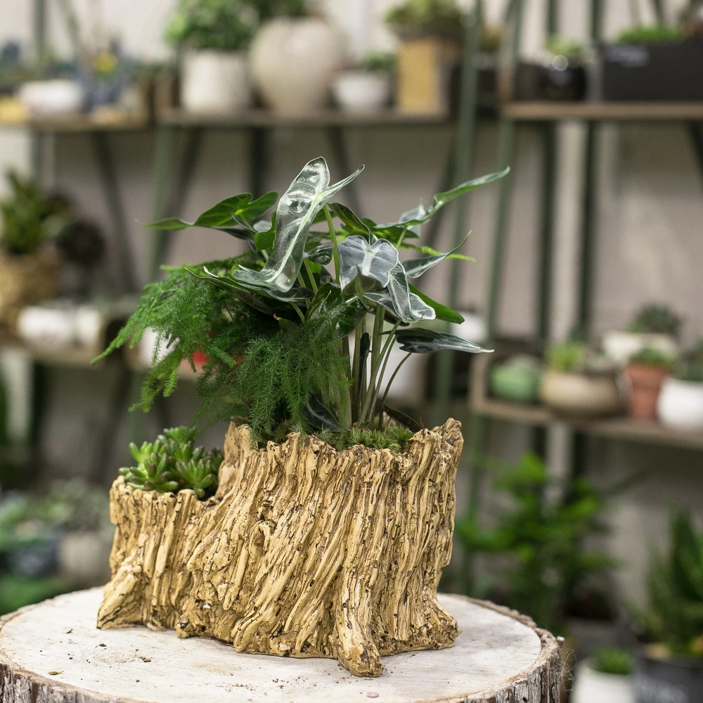 verstoring Zeemeeuw Bezem Hars Kunstmatige Twisted Drijfhout Bloempot Sculptuur Succulente Planter  Rustieke 2 Potten 2 Lagen Kofferbak Stump voor Decoratie|flower pot|succulent  planterrustic planters - AliExpress