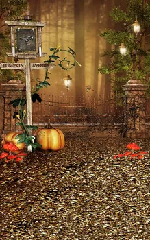 

Strange Photography Backdrops Pumpkins Bird Avenue Signpost Foggy Forest Halloween Backgrounds for Photo Studio Vinyl Cloth