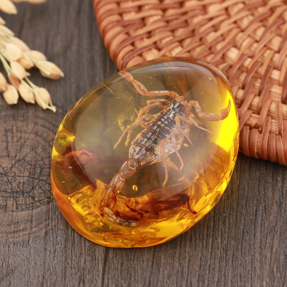 

1 PC Natural Insects Amber Stone Ornament Crafts Originality Scorpions butterfly Bee Crab Decorations DIY Art Craft Pendant Gift