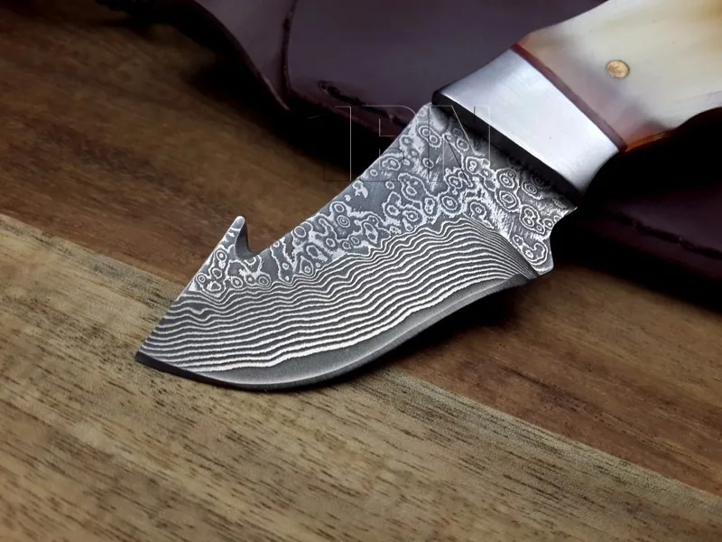 HTB1BgSvKFXXXXbBaXXXq6xXFXXXG