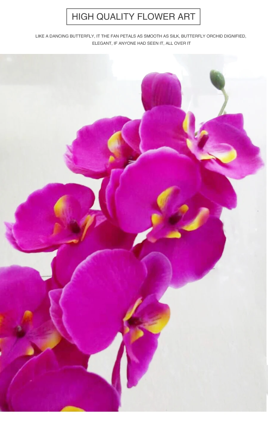 HTB1GamYRVXXXXa1XFXXq6xXFXXXW