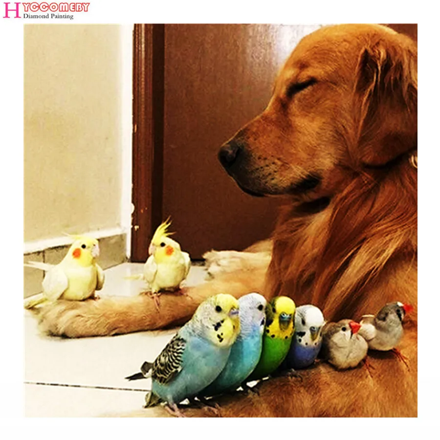 собака и сова. собака и птица 25 глава. дружба животных. таня брандт фотограф. совенок и овчарка.