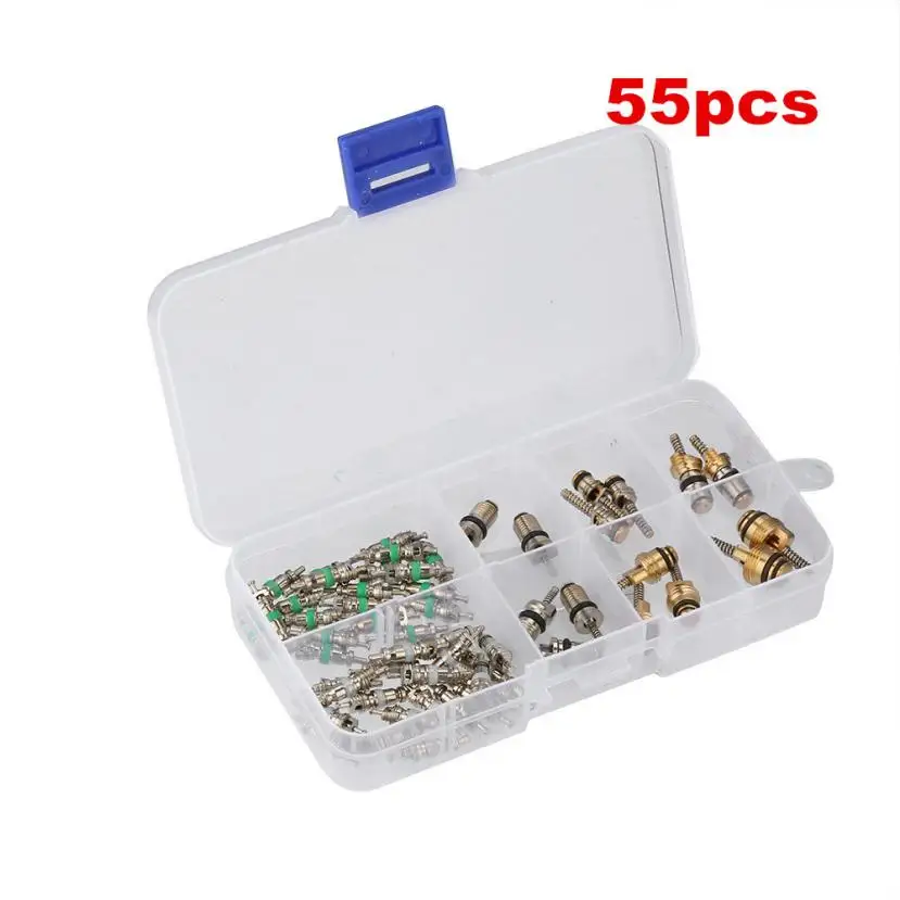 55pcs A/C AC Schrader Valve Cores Assortment For R134a R12 R22 7 Kinds