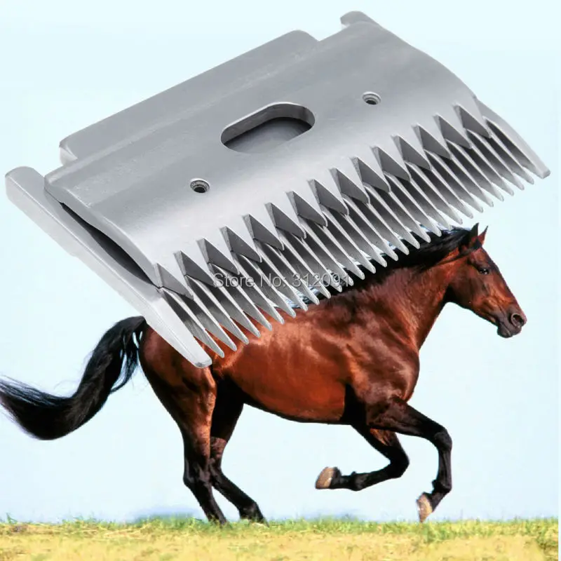2004dp1_19