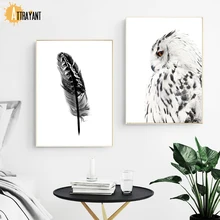 Simple Feather Owl Wall Art Canvas Painting Nordic Poster And Print Animal Wall Pictures For Living Room Scandinavian Home Decor