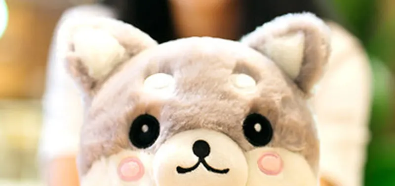 Plush Toys (15)