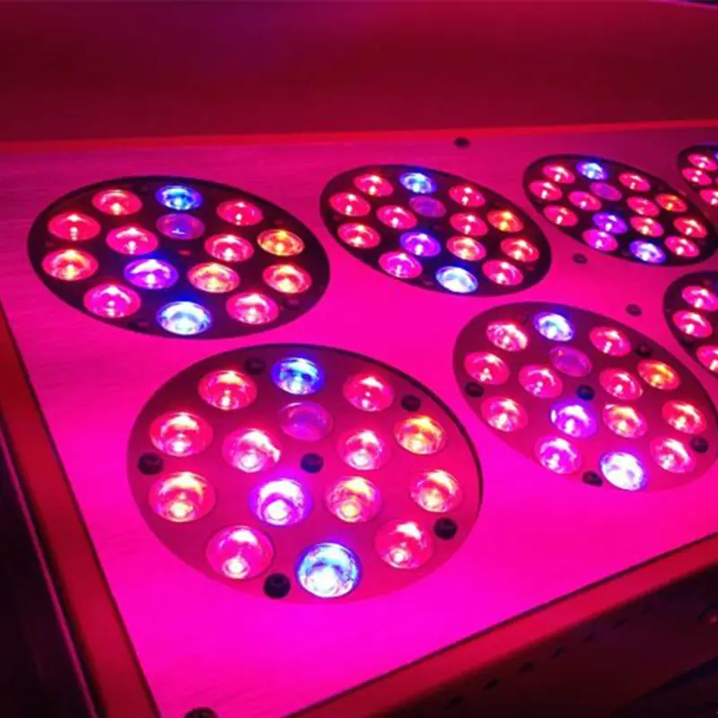 100002888489_13778542156587