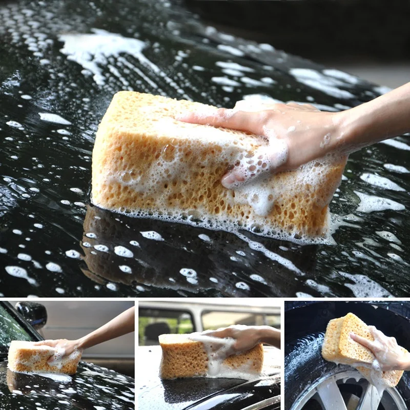 

Sale Coral Porous Tools Car Large Cleaning Car Washing Sponge Absorption Water