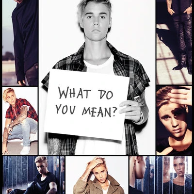 Justin Bieber Grid (Bravado) Laminated Poster (24 x 36)