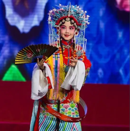 Цветочная вышивка Пекинская опера Gui Fei Zui Jiu одежда драма ролевая поставка костюм