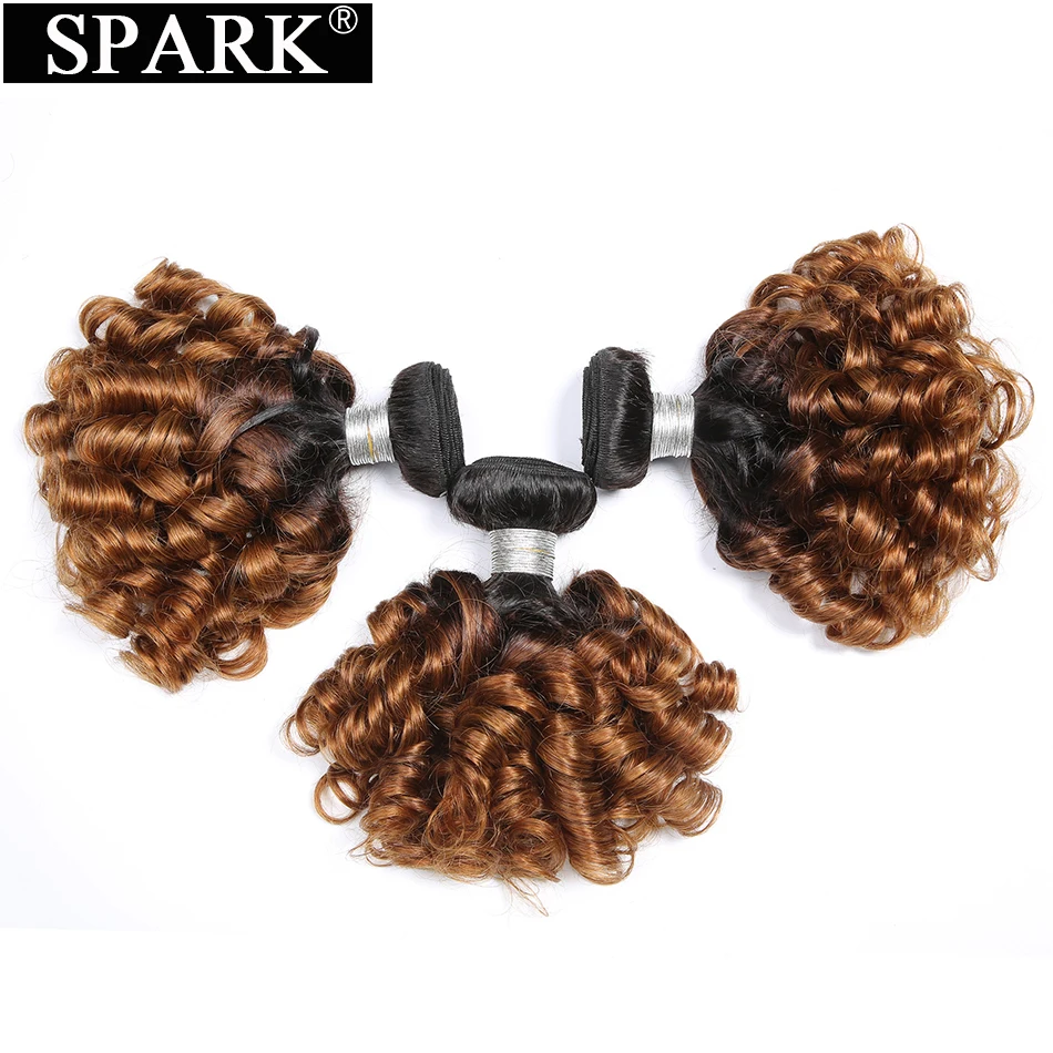 Spark Brazilian Bouncy Curly Hair Bundles 100% Human Hair Remy Hair Extensions 8\ Spark Brazilian Bouncy Curly Hair Bundles 100% Human Hair Remy Hair Extensions 8\