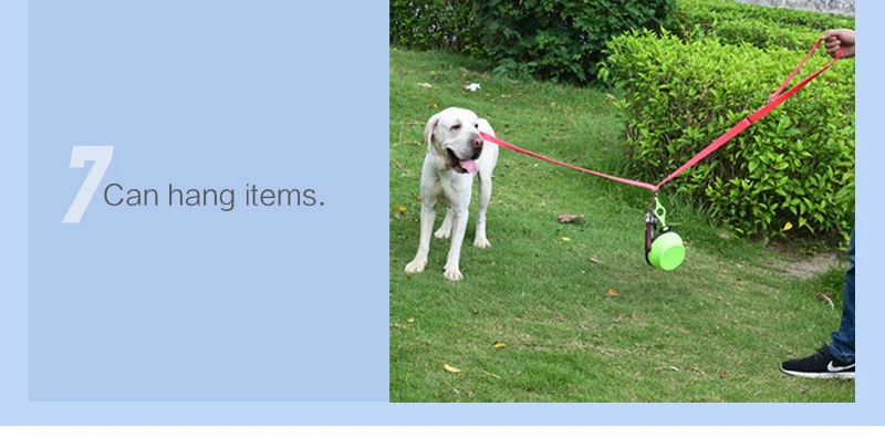 9 dog leash hook 