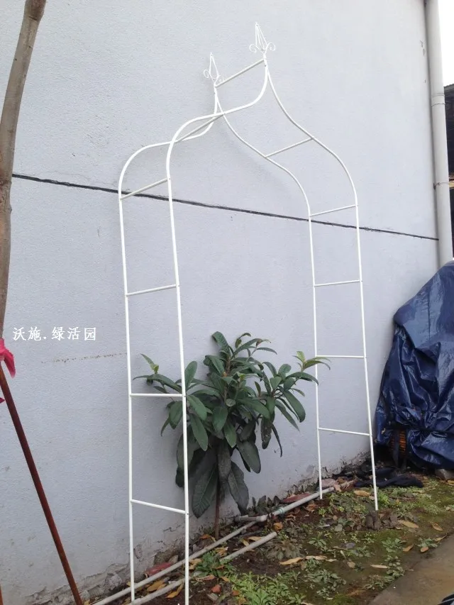 Climbing frame Wrought iron flower arch cosmetic Cany on grape wedding iron frame