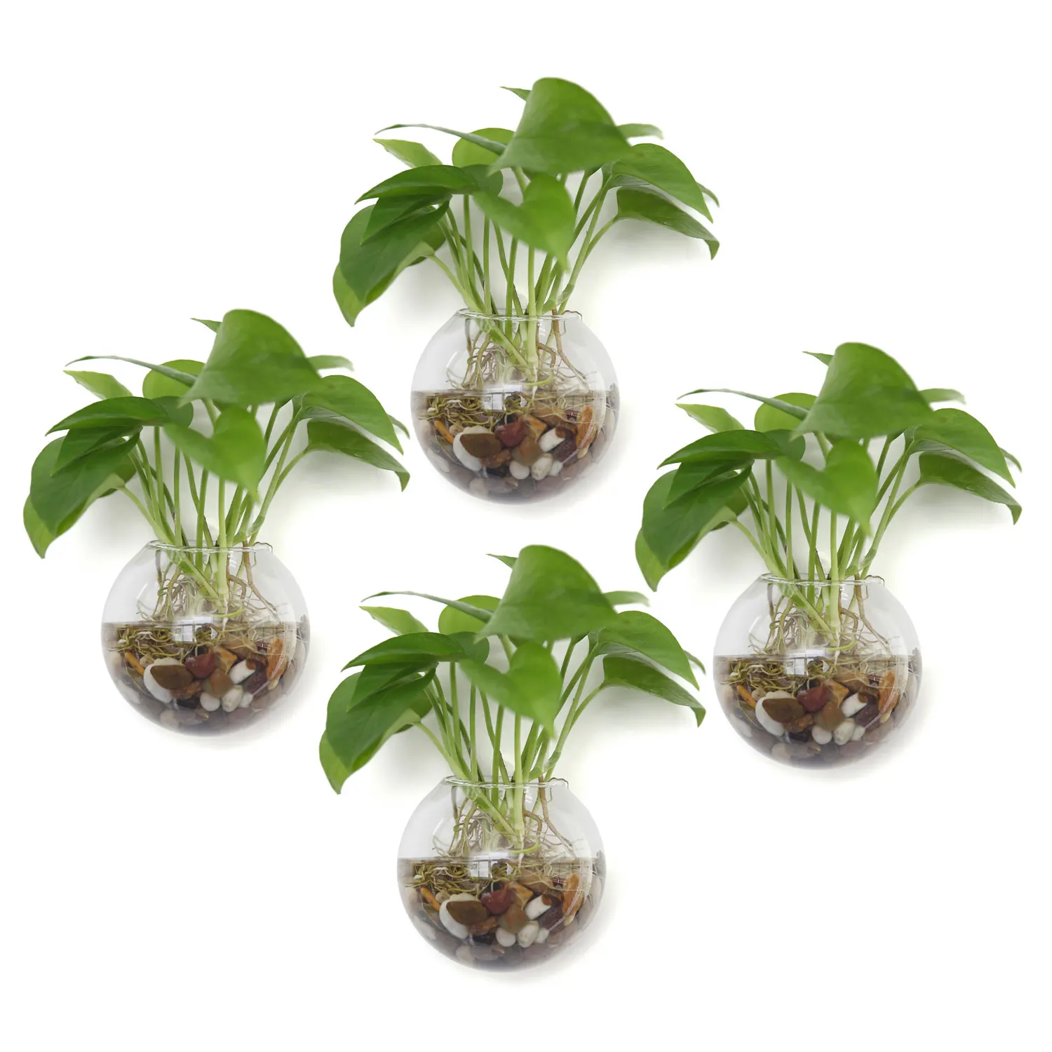 

T4U Wall hanging planter Hanging Glass Flower pot Vase Terrarium Ball Shape maceta bonsai Clear Bubble Planter air plant holder