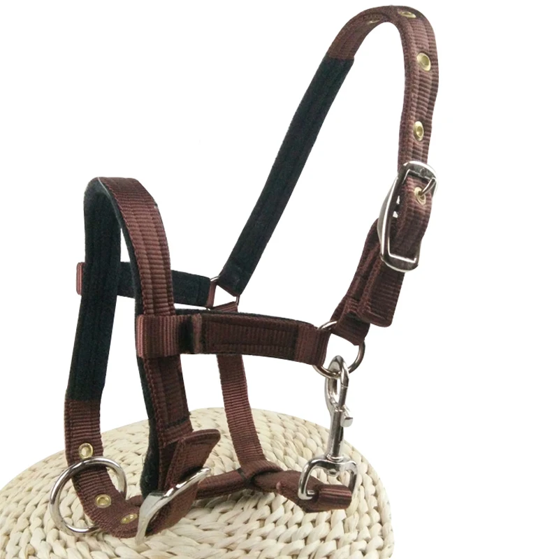 Outdoor headstall ركوب الخيل سباق نسج أحزمة اللجام تعديل حجم m/l الرسن التزويد بحصان أدوات معدات paardensport Outdoor headstall ركوب الخيل سباق نسج أحزمة اللجام تعديل حجم m/l الرسن التزويد بحصان أدوات معدات paardensport