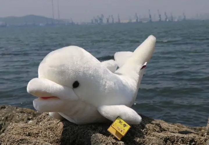 Hewan Laut Besar 74 Cm Lucu Dolphin Mainan Mewah Bantal Lembut