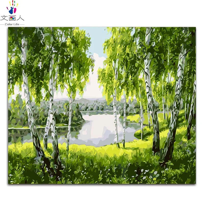 

Coloring by numbers White Birch at the creek scenery pictures paintings by numbers artwork canvas paint with kits for hoom decor