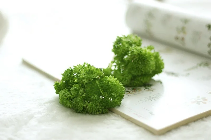 Colorful Plastic Rice seed Rustic Artificial fruit Fake aglaia mini fruit Wedding Decorative Flowers bonsai Home Decor (9)
