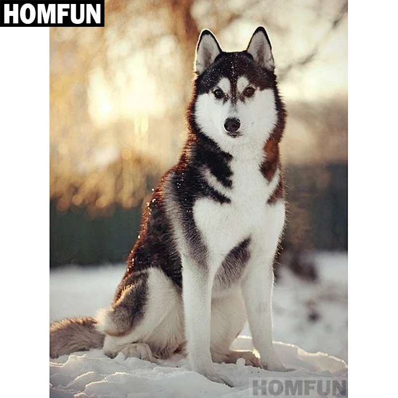 Алмазная живопись HOMFUN A01196 картина волк собака снег вышивка крестиком из