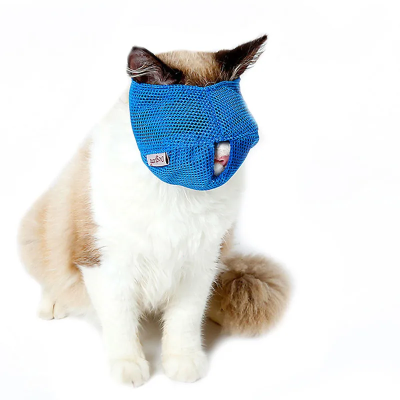 cat muzzle  (1)