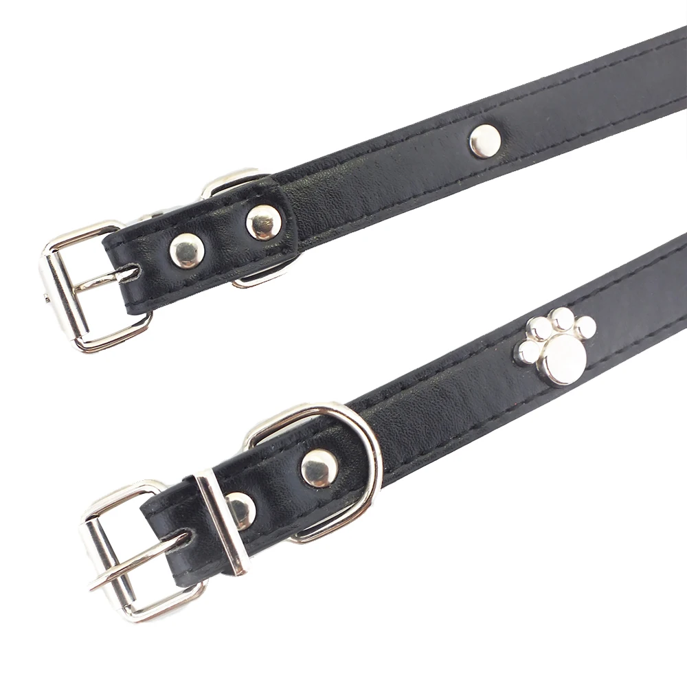dog collar 4