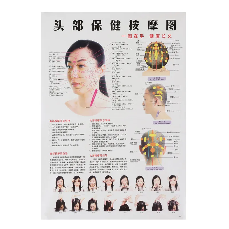 Acupuncture Facelift Points Chart