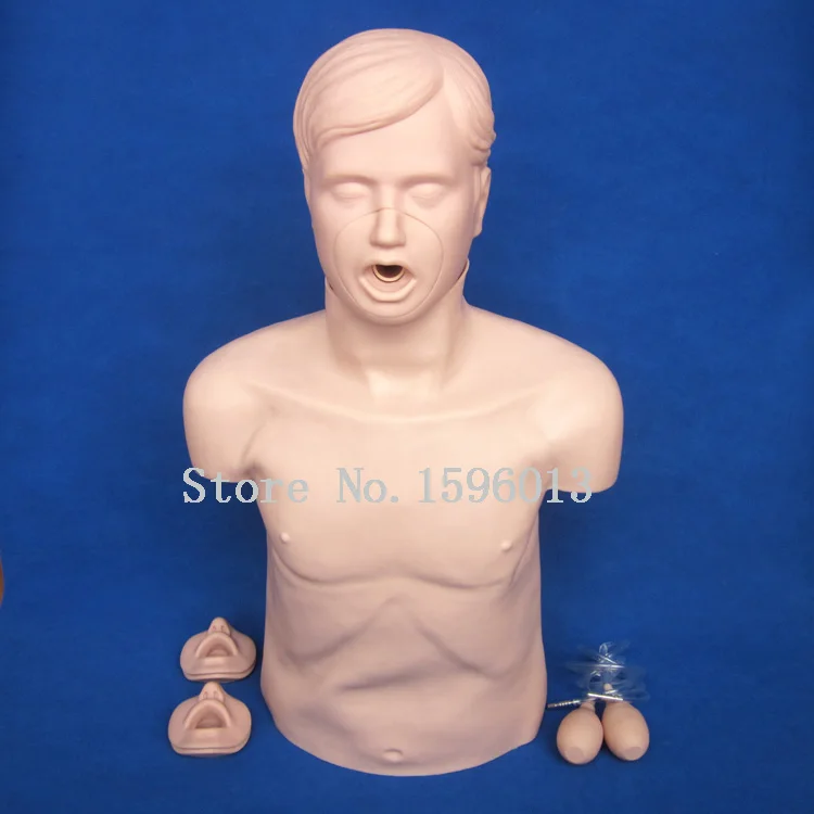 Half-body CPR Training Manikin,First Aid manikin model,CPR Manikin