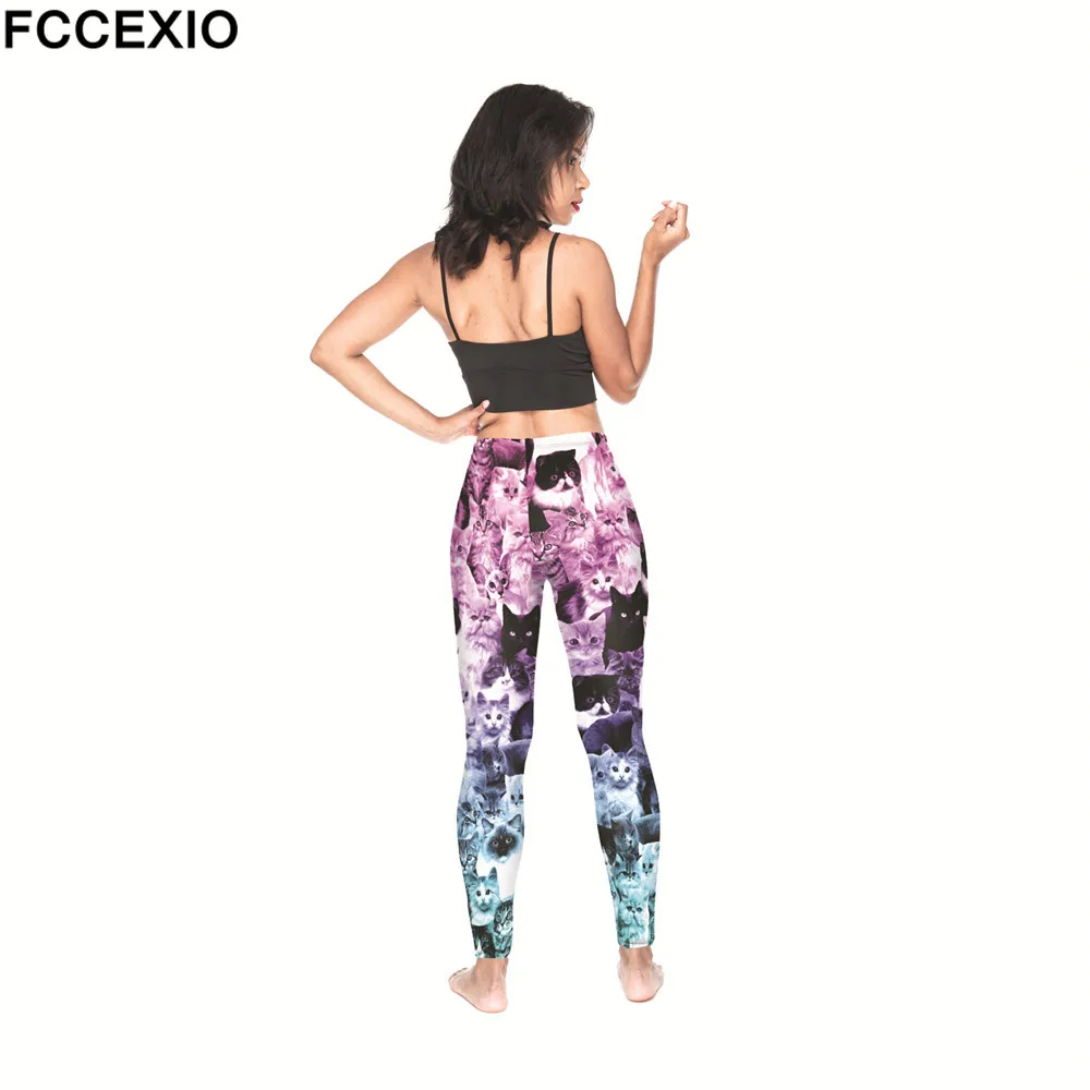 52176 CATS OMBRE PINK (7)