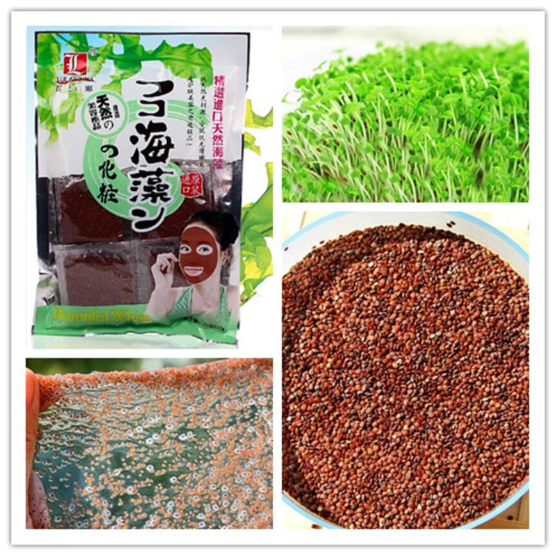

Rolanjona Natural Seaweed Mask Powder Algae Mask Hydrating Whitening Moisturizing Facial Mask Anti Acne Fade Spots Mask