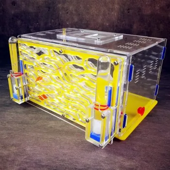 

2018 New Big Capacity Ant Nest D2 Ants Work Farm Villa Live Ant Viewing Habitat Workshop With Feeder Area DIY Educational Toy