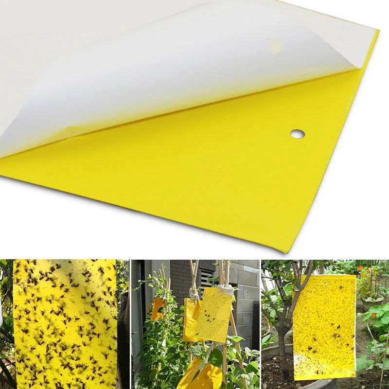 Yellow Paper + Mucus Outdoor Sticky Adhesive Insect Trap Catcher Killer Fly Aphids Wasp Pests | Дом и сад