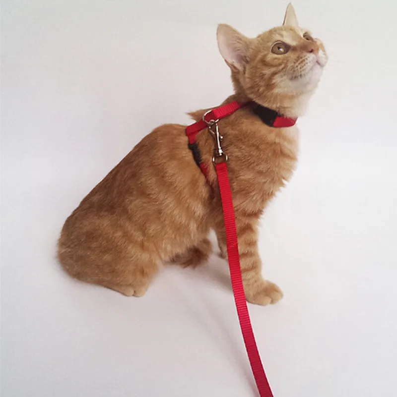 1PC Cat Dog Leash And Adjustable Collar Harness Nylon Pet Traction Cat