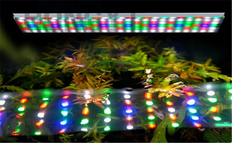 LED4