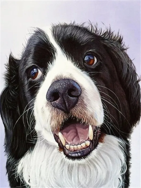 Haucan DIY изображение собаки из страз животное, бриллиант, вышивка продажи квадратные Стразы изображение 5d Алмазная мозаика челнока - Цвет: FV9373