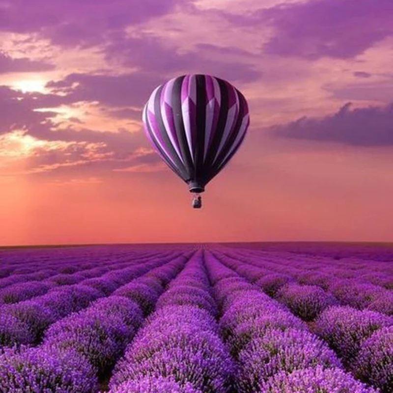 163bb50e76791bf0ddfe615d7a84c3e2--lavender-fields-france-beautiful-nature-photography