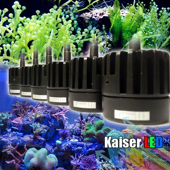 

Coral LED light Mini nano coral SPS LPS reef algae grow supplement LED light aquarium marine salty fish tank