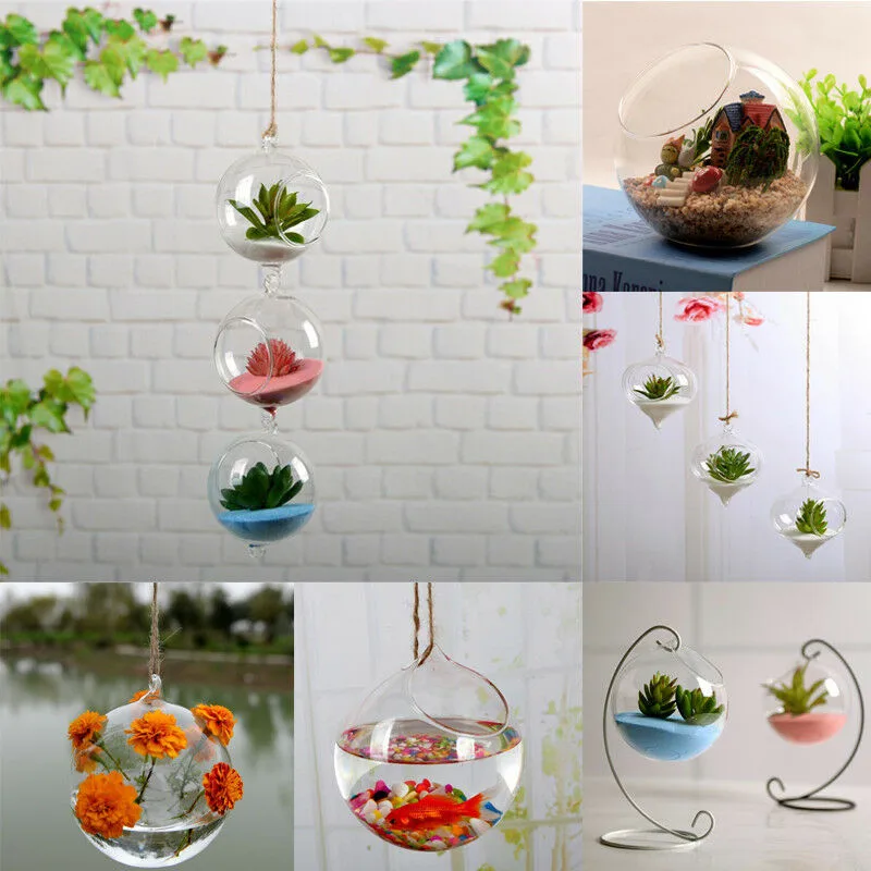 

Home Garden Clear Glass Flowers Planter Vase Terrarium Container Ball Bulb Cylinder Shape Decors 1pc Not Include The Plant New