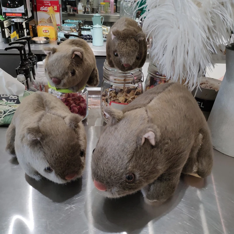 guinea pig plush toy australia