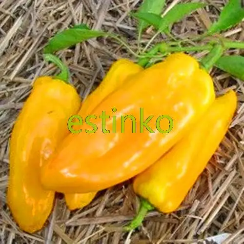 Golden Marconi Peppers 20pcs/bag Vegetable Seeds Giant Pepper Seeds Vegetable Bonsai Plant Home Garden DIY Free Shipping